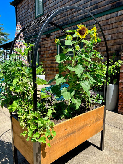 2' x 4' Arch Trellis with Planter Boxes