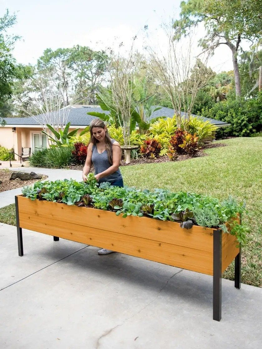 Flash sale ⚡Limited Stock💥Self-Watering Eco-Stained Elevated Planter Box⭐