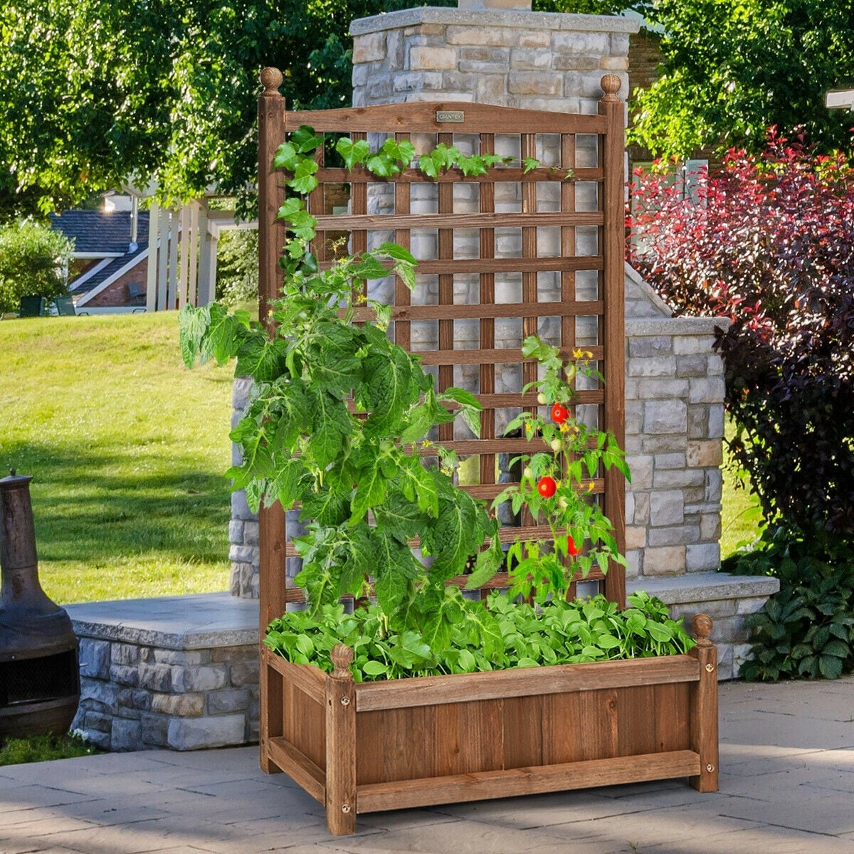 Outdoor Freestanding Wood Raised Garden Bed Planter Box with Trellis