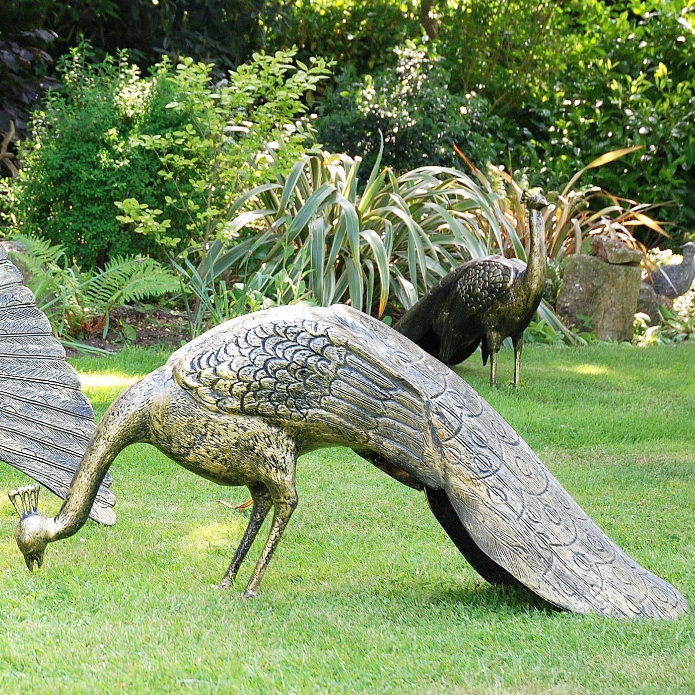 Majestic Peacocks (Set of 2)