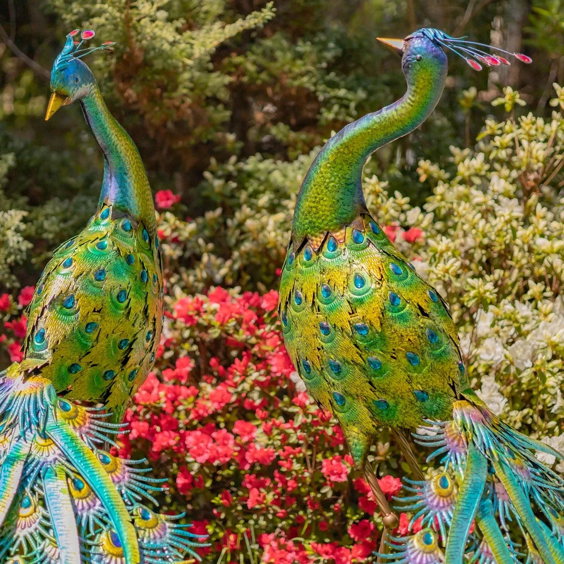 Large Color Peacocks with Jewels