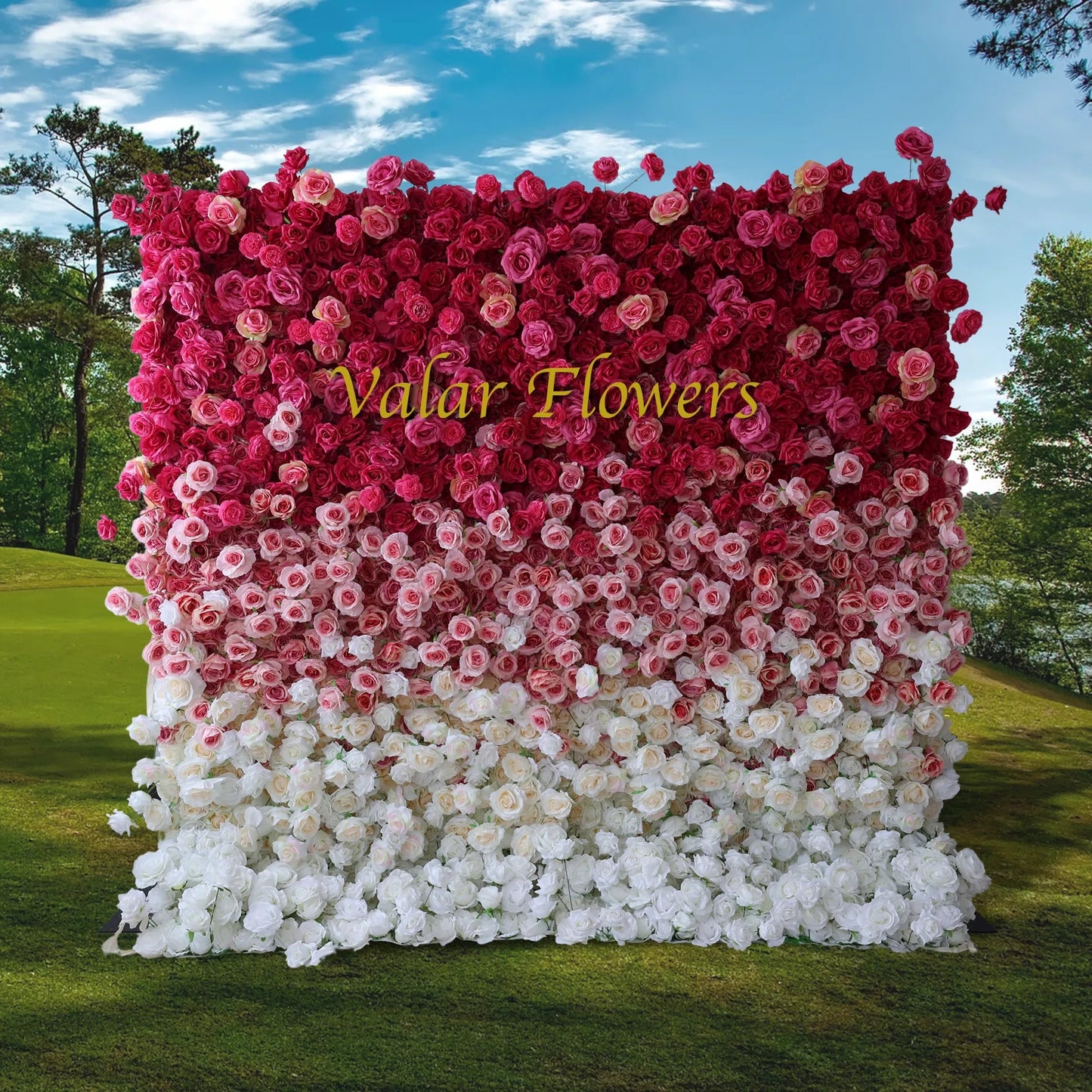 Roll Up Fabric Artificial Red to White Gradient Flower Wall Wedding Backdrop, Floral Party Decor, Event Photography-VF-372