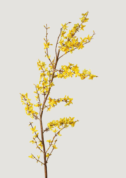 Yellow Faux Spring Forsythia Branch - 50"