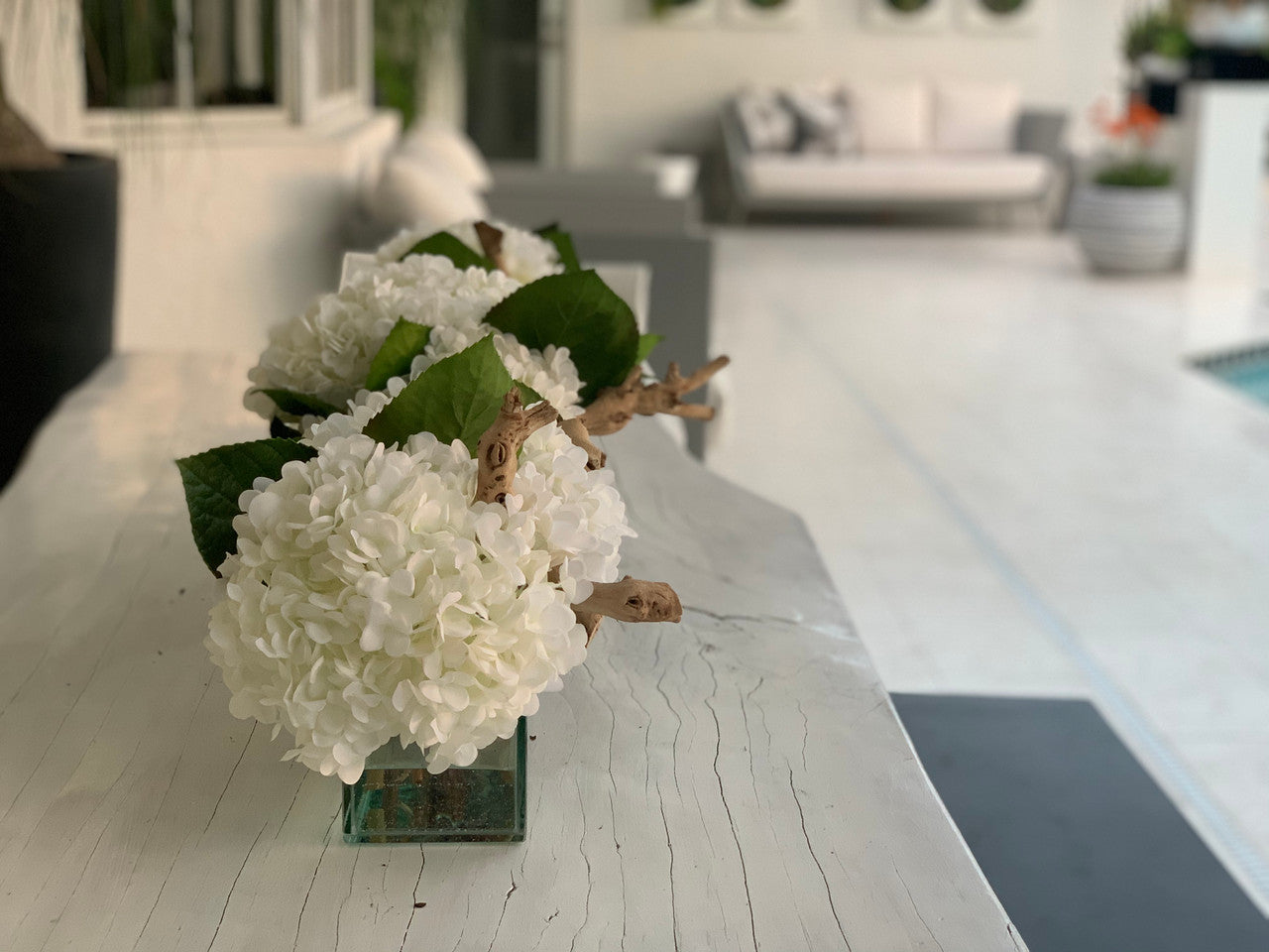 36″ Casa Moderna Glass Plate Planter with white Hydrangeas and Driftwood