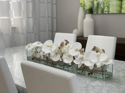 36″ Casa Moderna Glass Plate Planter with white Phalaenopsis orchids