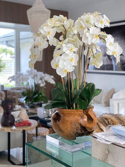 Large teak bowl with white orchids