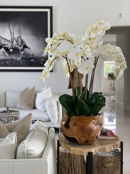 Large teak bowl with white orchids