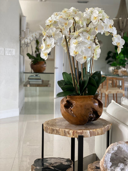 Large teak bowl with white orchids