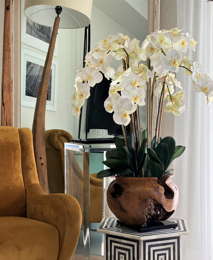 Large teak bowl with white orchids