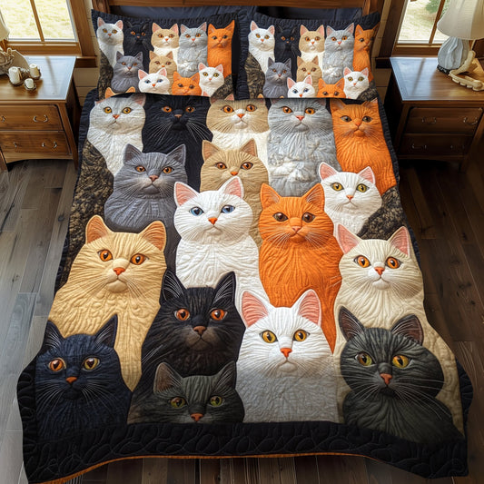 Multicolored Cats 3-Piece Quilted Bedding Set NCU0PD422