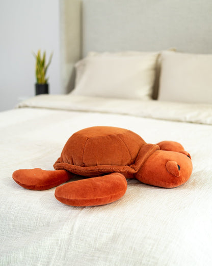 Organic Cotton Turtle Pillow