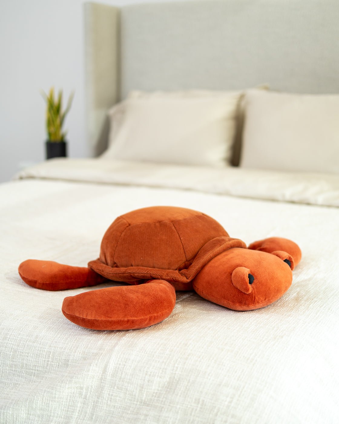 Organic Cotton Turtle Pillow