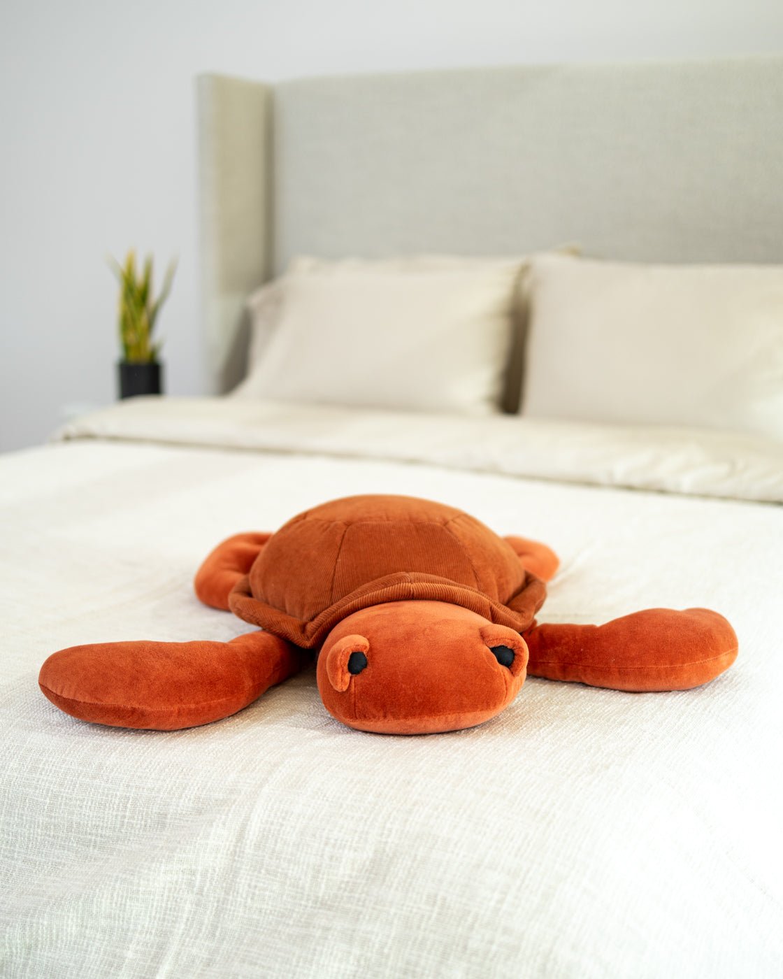 Organic Cotton Turtle Pillow