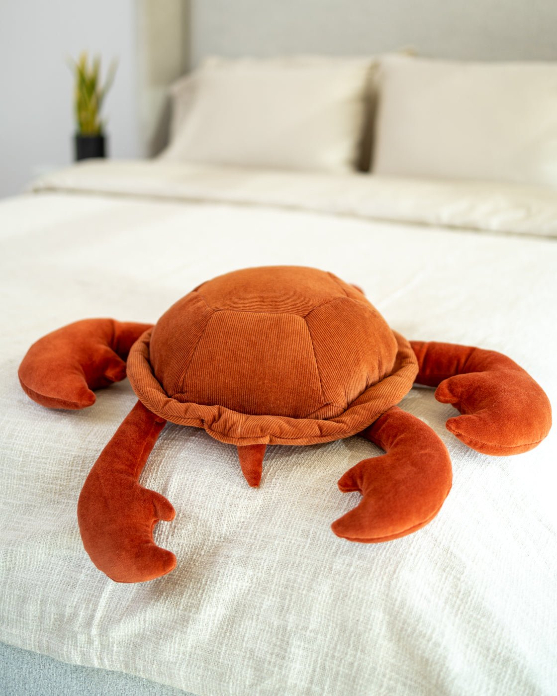 Organic Cotton Turtle Pillow