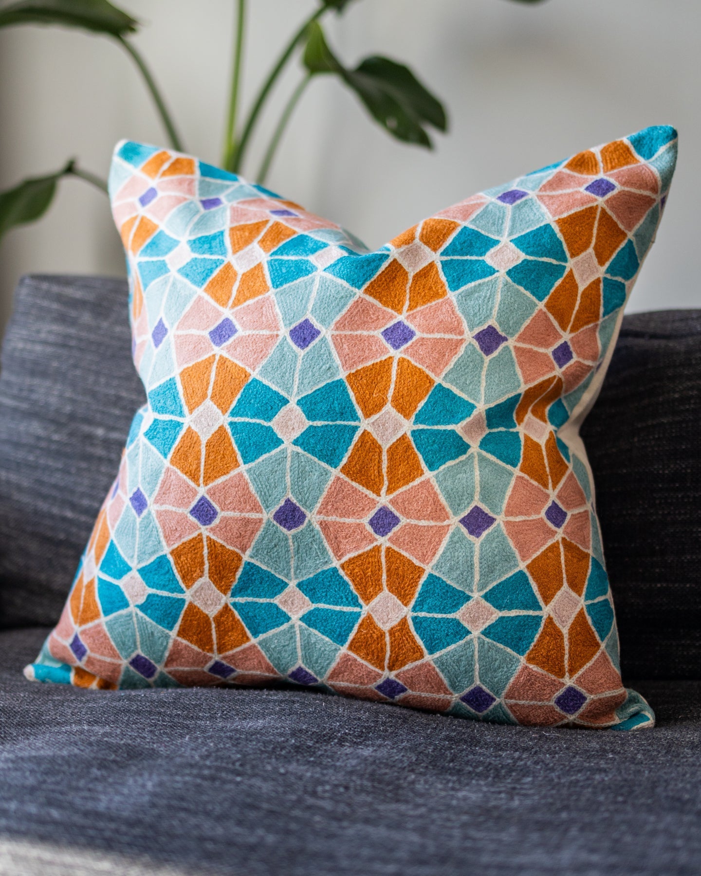 Pax Organic Cotton Abstract Throw Pillow