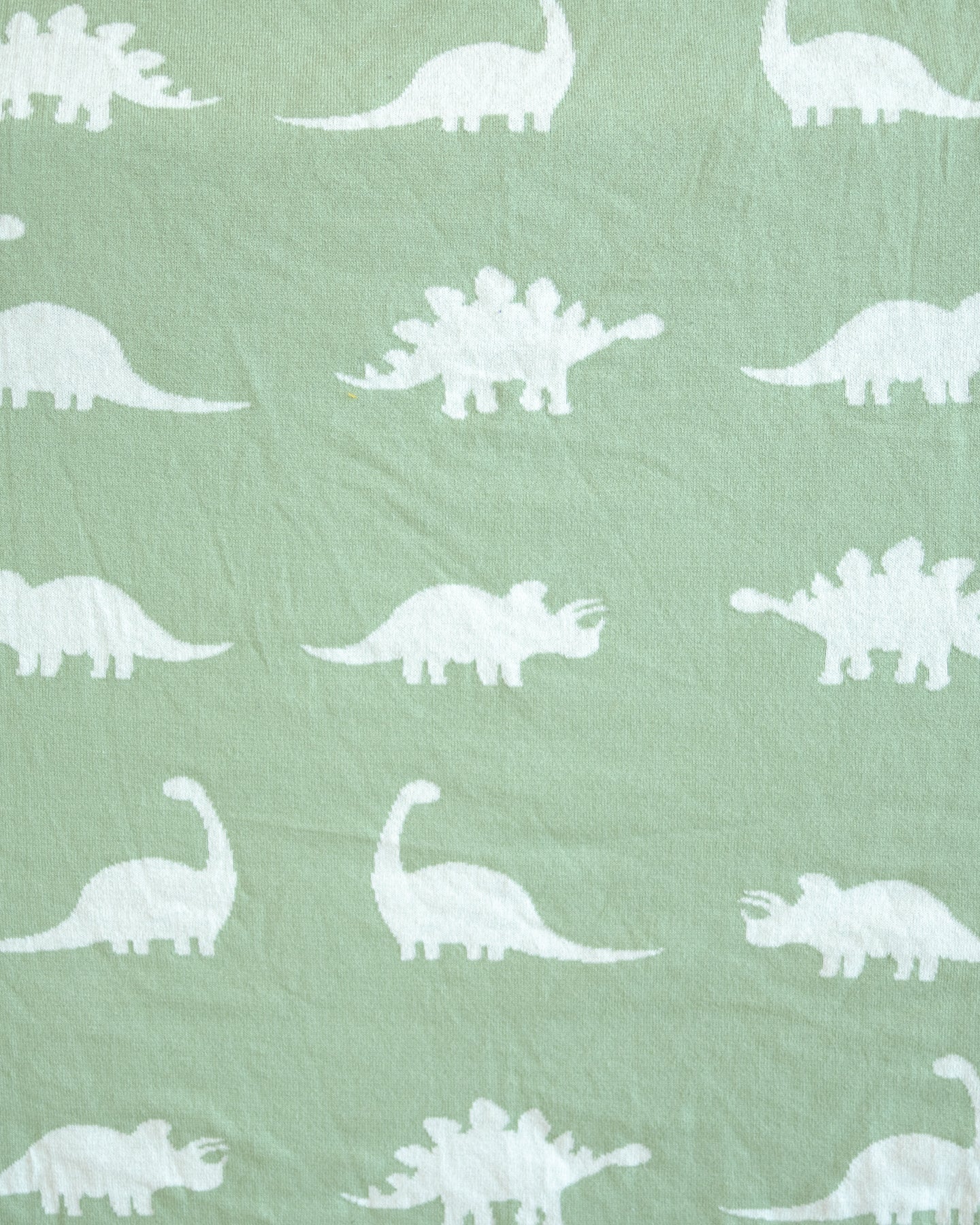 Ty Dinosaur Baby and Kids Throw Blanket