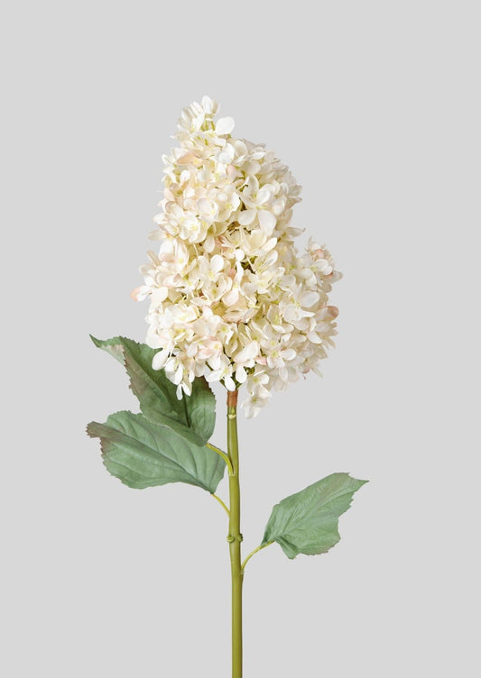 Large Faux Dried  Cone Hydrangea in Parchment