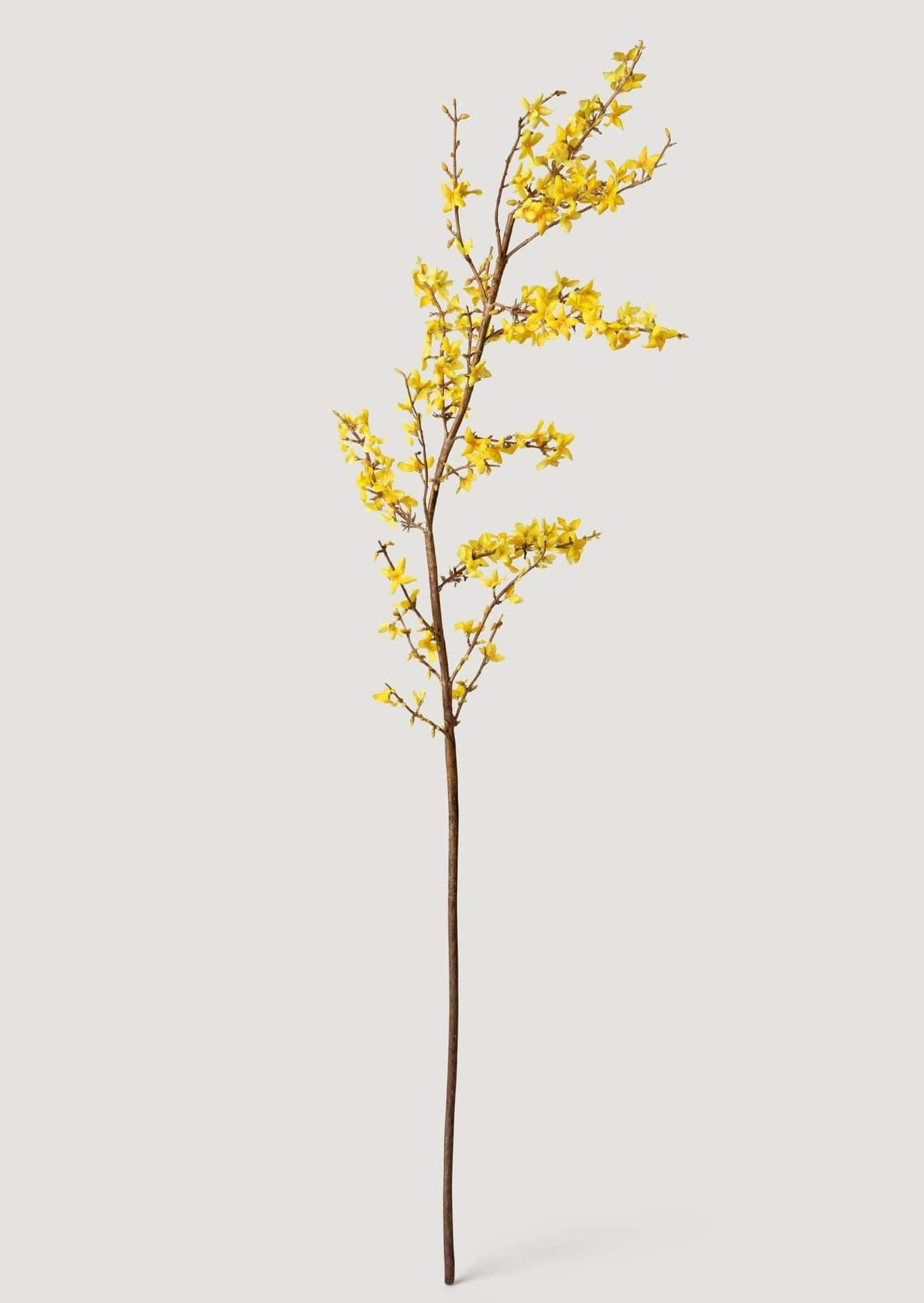 Yellow Faux Spring Forsythia Branch - 50"