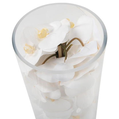 Glass Cylinder With White Phalaenopsis Orchids