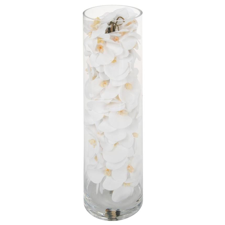 Glass Cylinder With White Phalaenopsis Orchids